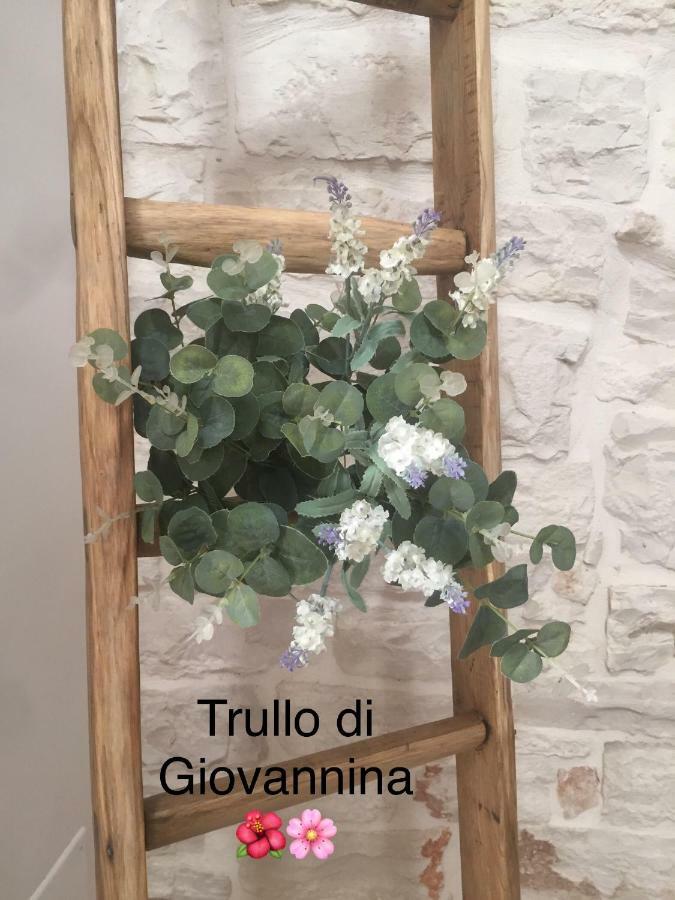 Trullo Di Giovannina Casa Vacanza 阿尔贝罗贝洛 外观 照片